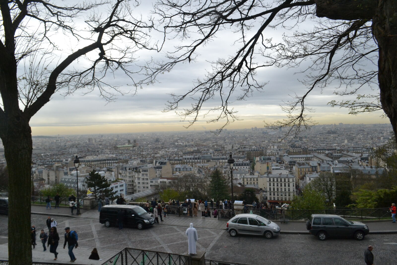 Nikon D3100 sample photo