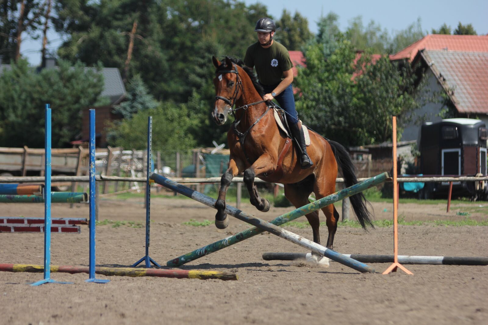 Canon EOS 600D (Rebel EOS T3i / EOS Kiss X5) sample photo. Horses, horse, skokiprzezprzeszkody photography