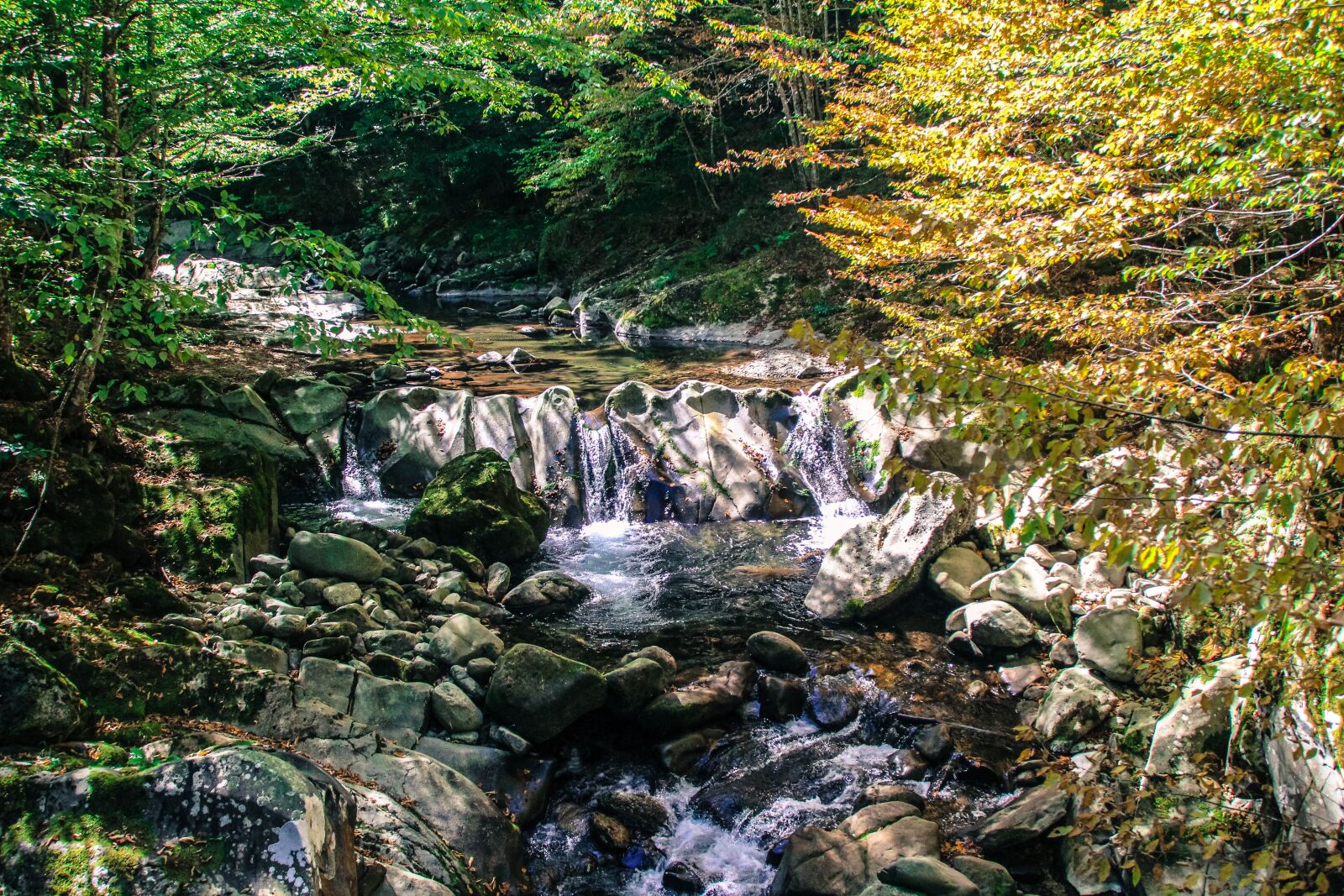 Canon EOS 1200D (EOS Rebel T5 / EOS Kiss X70 / EOS Hi) sample photo. Bulgaria, forest, river photography