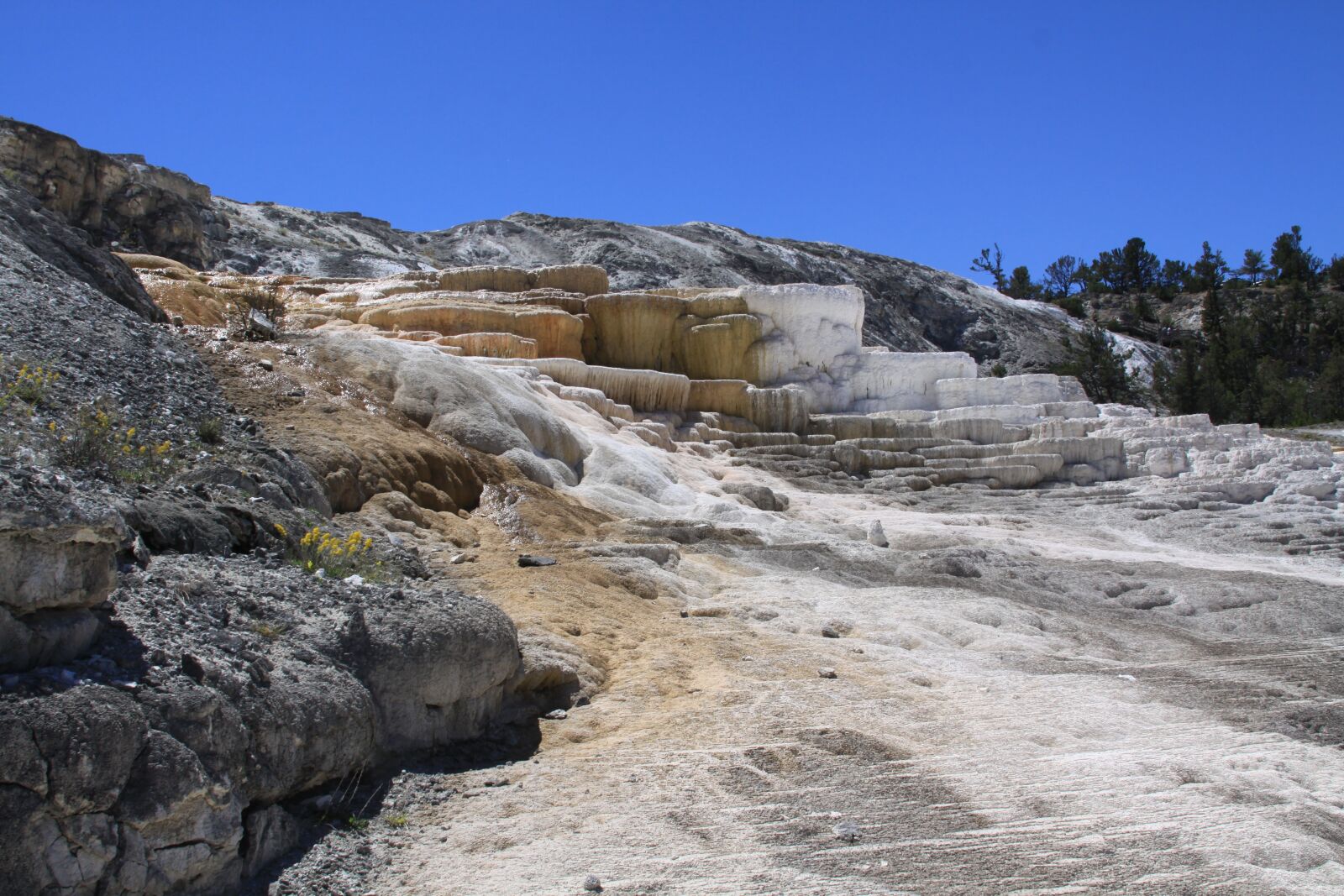 Canon EOS 50D sample photo. Nature, yellowstone, hot photography