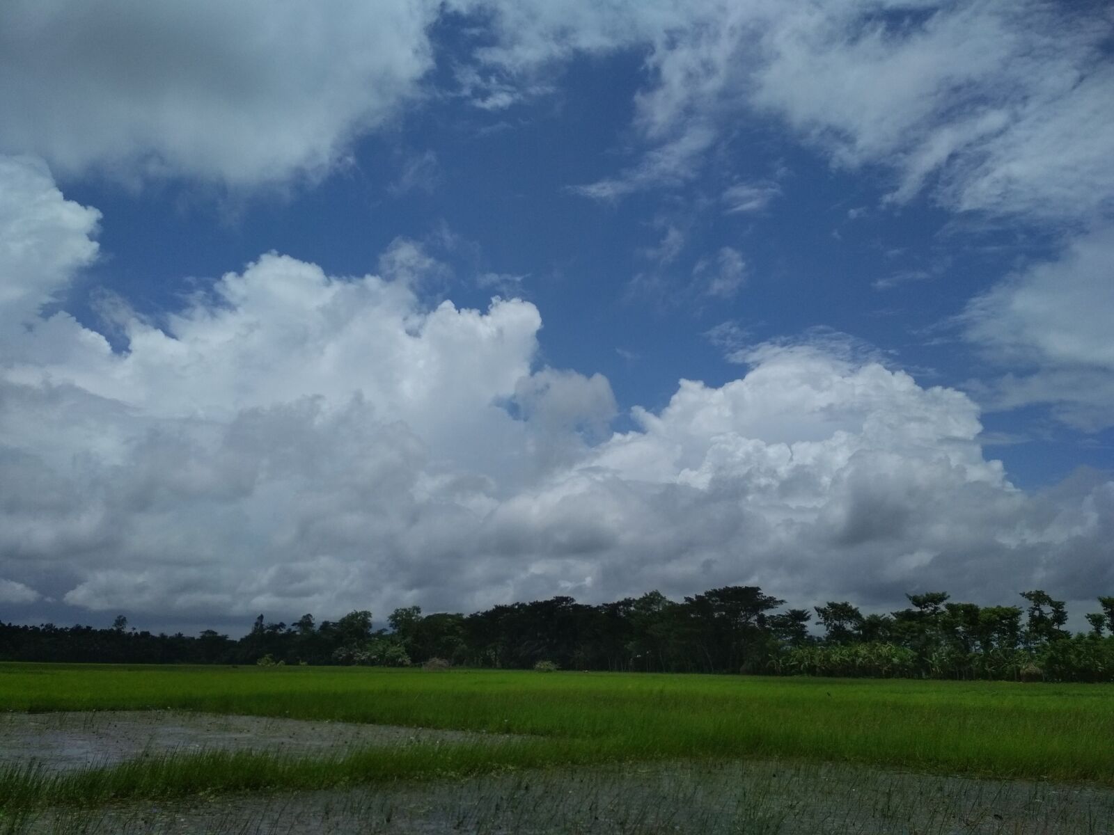 Xiaomi Redmi 4X sample photo. Blue sky natural cloud photography