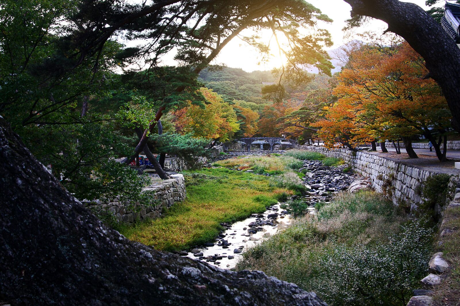 Canon EOS 40D sample photo. Beomeosa temple, creek, nature photography