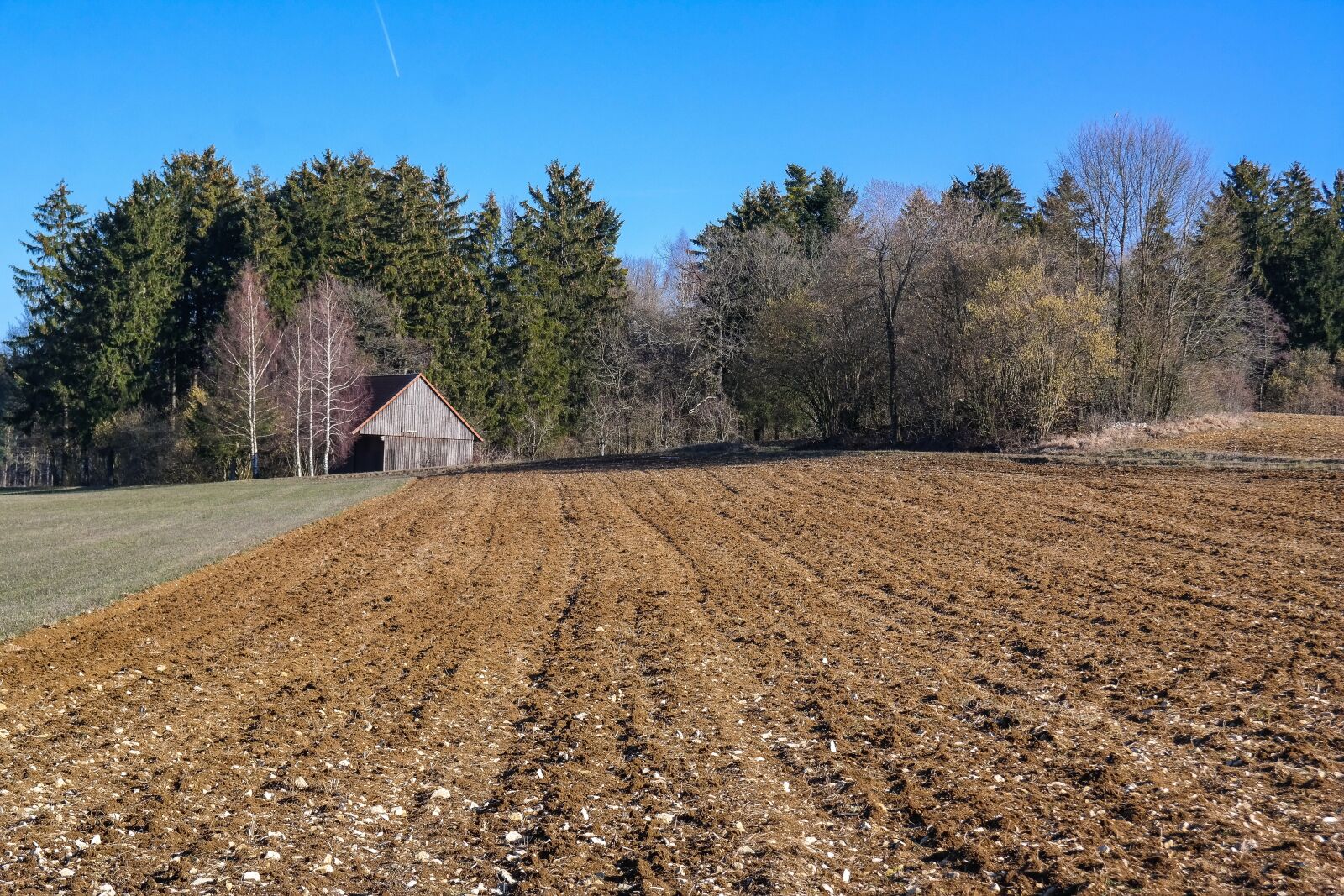 Samsung NX300 sample photo. Arable, field, spring photography