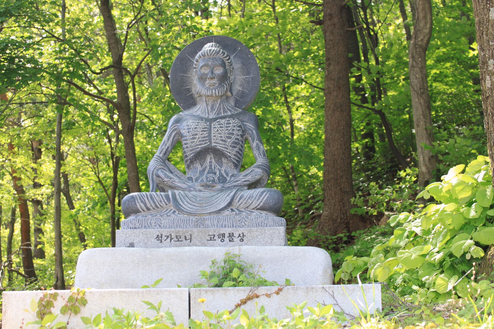 Canon EOS 500D (EOS Rebel T1i / EOS Kiss X3) sample photo. Buddha, stone, black photography