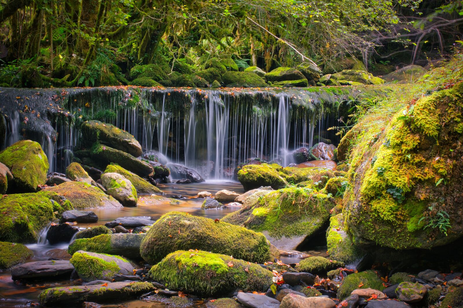 Nikon D7100 sample photo. River, nature, landscape photography