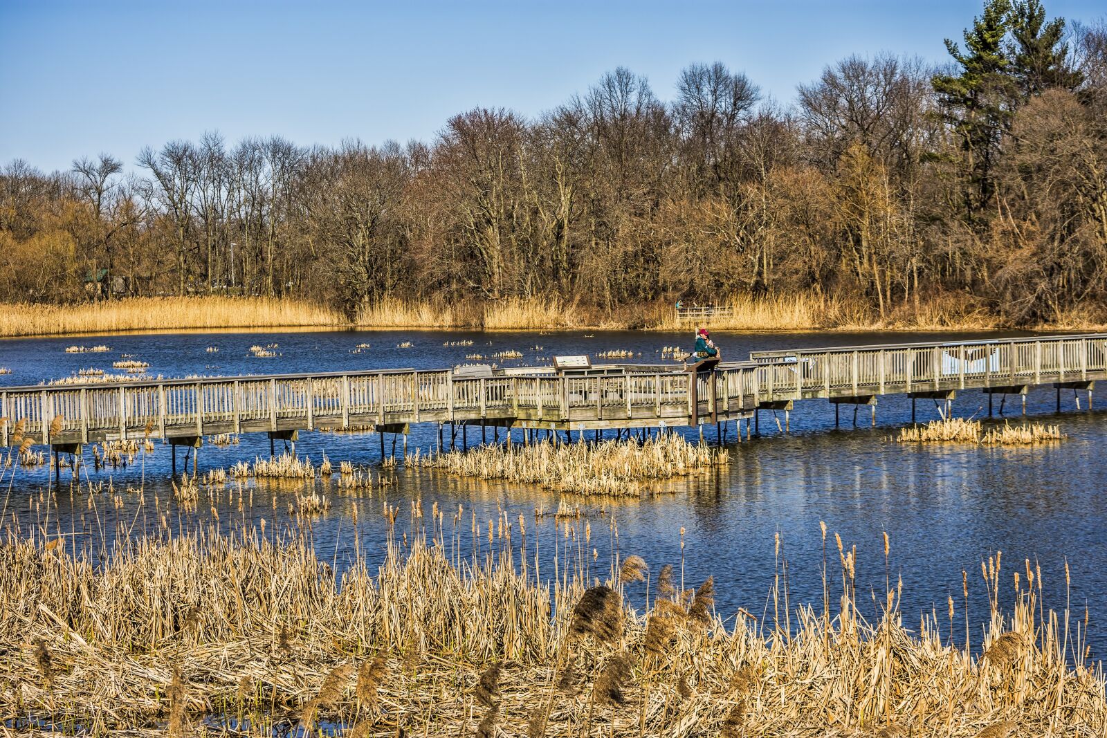 Nikon D7200 sample photo. Water, reflection, nature photography