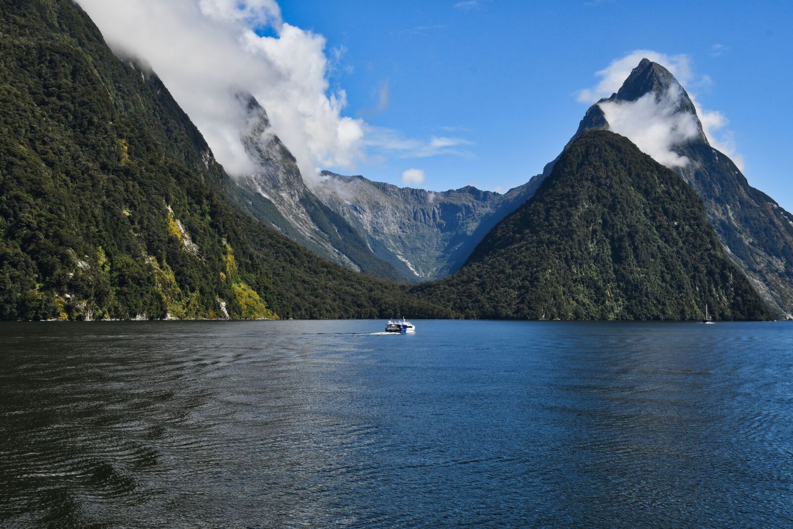 Nikon D500 sample photo. Fiord, water, waterscape photography