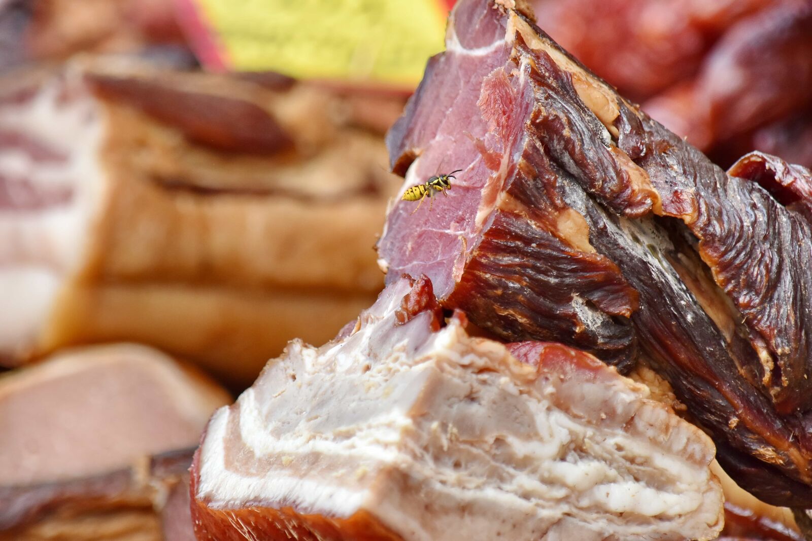Nikon D5500 sample photo. Ham, handmade, pork, wasp photography