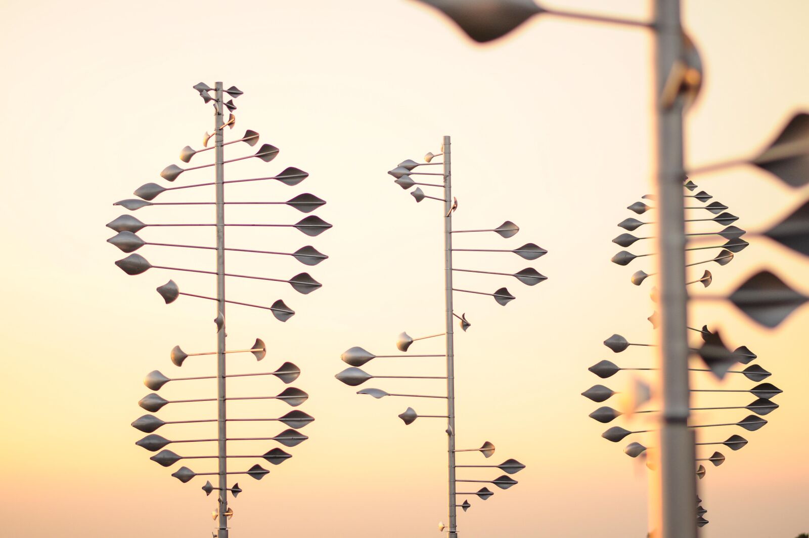 Nikon D90 sample photo. Kinetic sculptures, sunset, orange photography