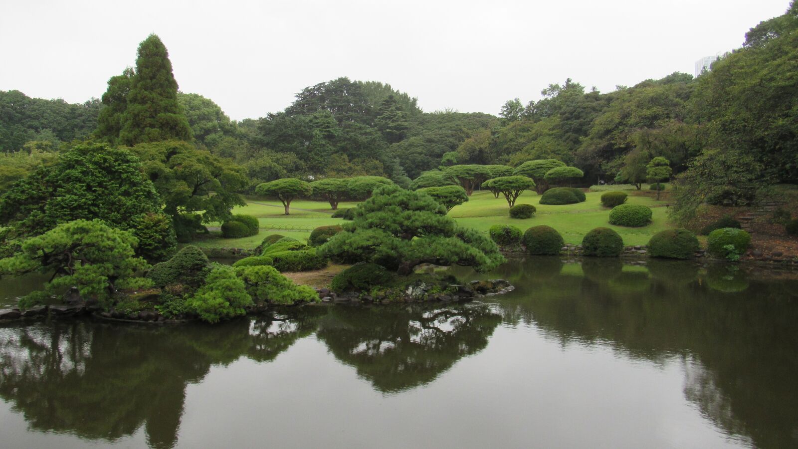 Canon PowerShot SX530 HS sample photo. Trees, green, water photography