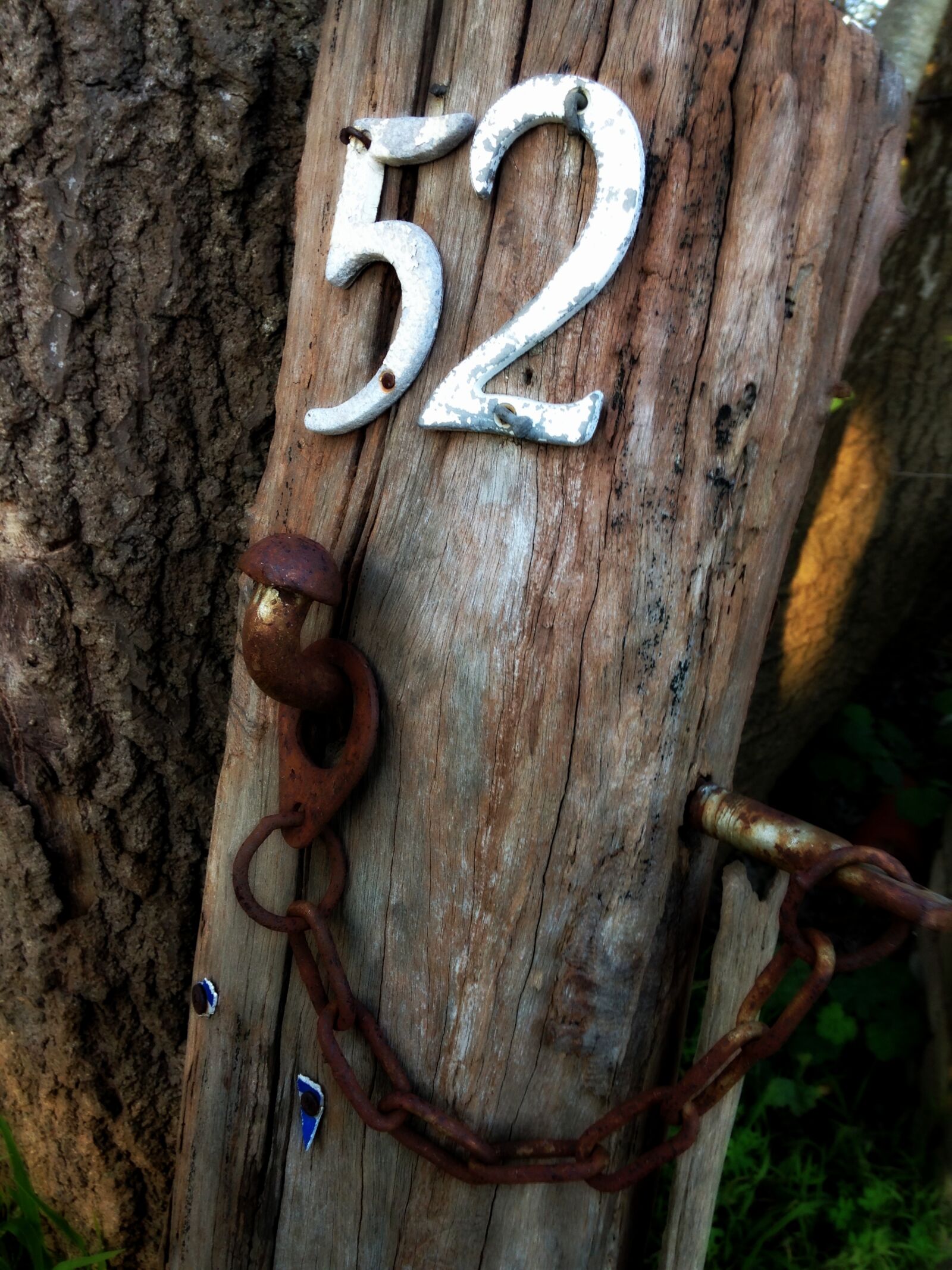 iPhone 5c back camera 4.12mm f/2.4 sample photo. 52, fence, fence, post, gate photography