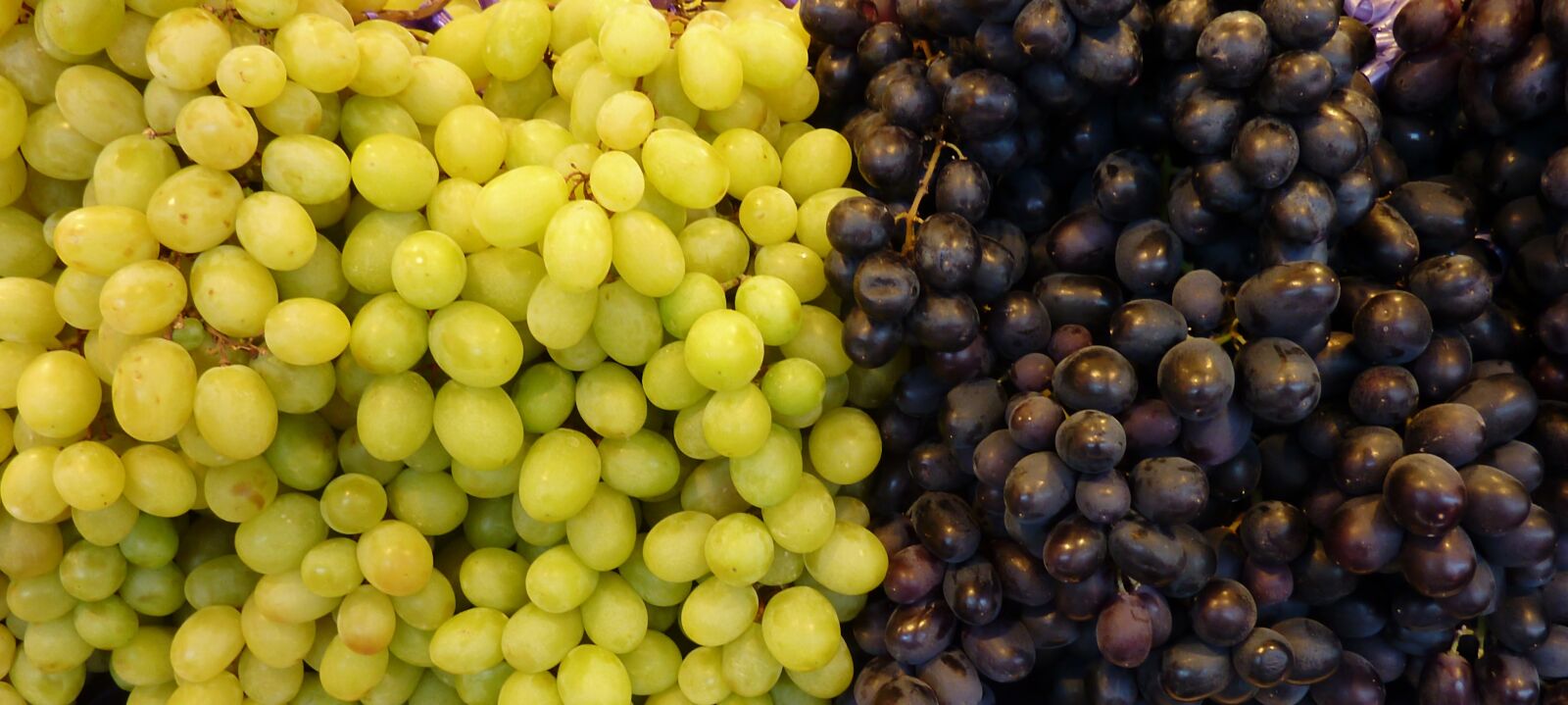 Panasonic DMC-TZ7 sample photo. Grapes, white grapes, blue photography