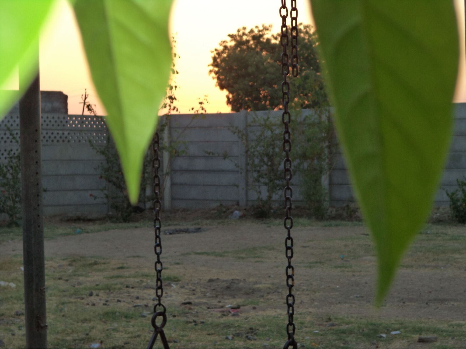 Sony Cyber-shot DSC-W710 sample photo. Sunset, tree, green photography
