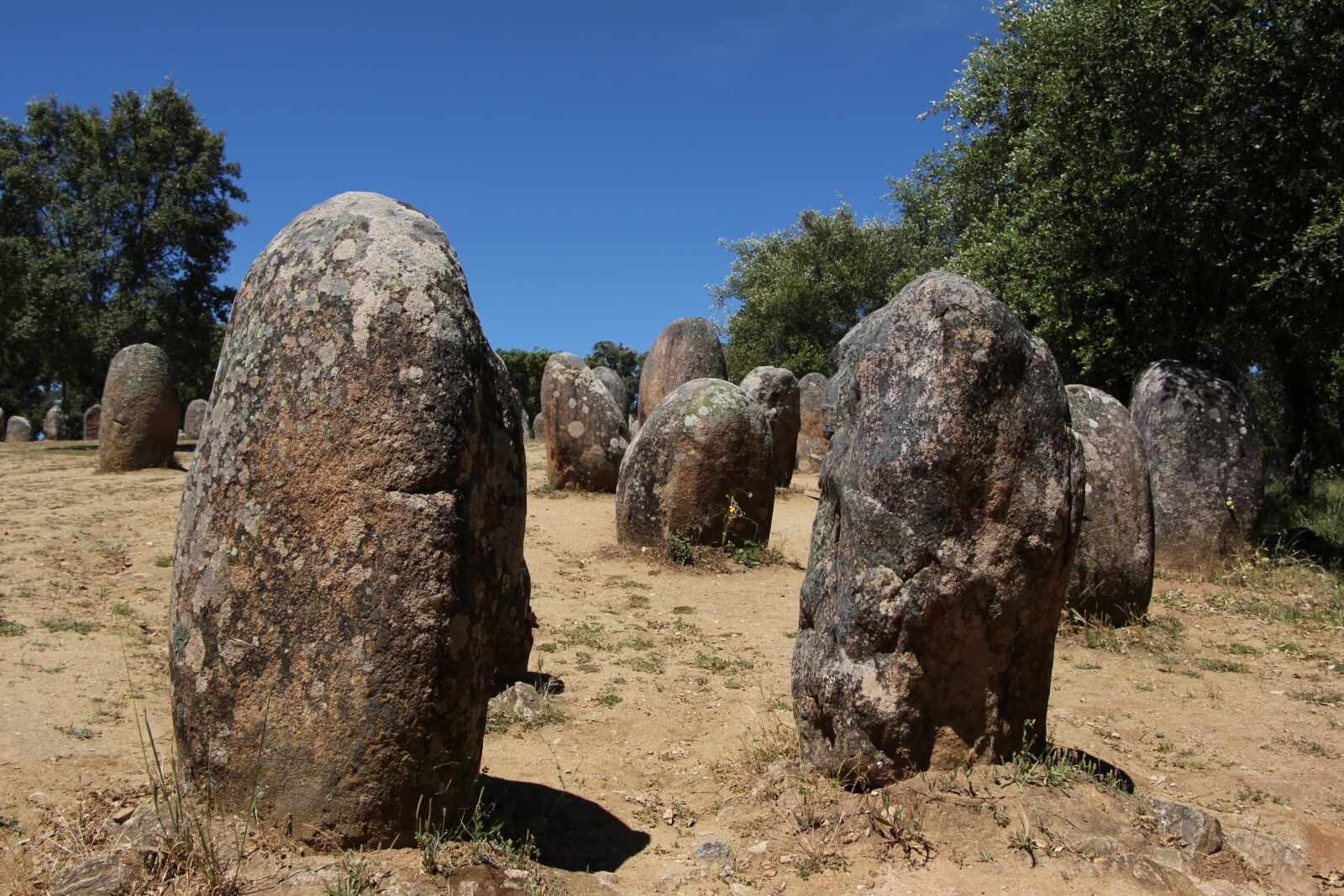 Canon EOS 700D (EOS Rebel T5i / EOS Kiss X7i) sample photo. Almendres, stone, cromlech photography