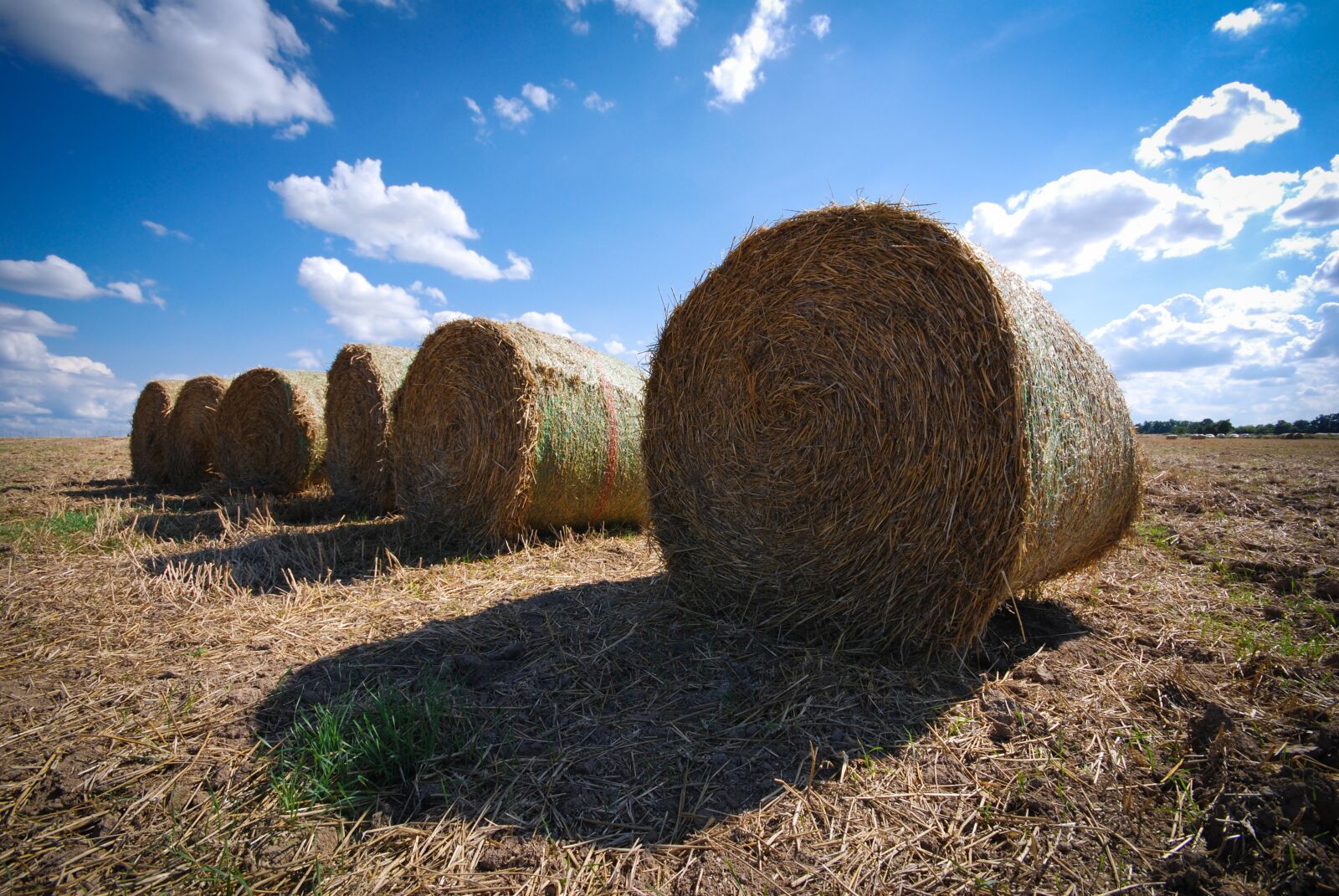 Nikon D80 sample photo. Bale of straw, summer photography