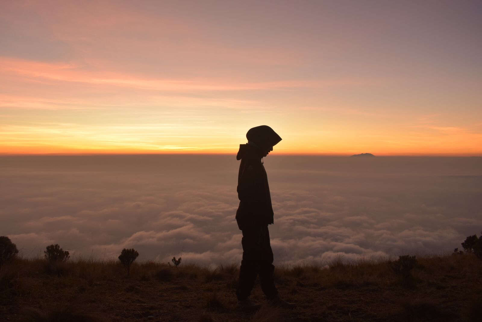 Nikon D3400 sample photo. Silhouette, sunrise, woman photography