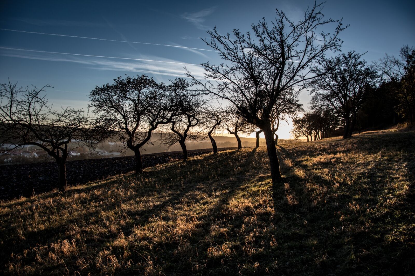 Nikon D5500 sample photo. Evening, sunset, shadow photography