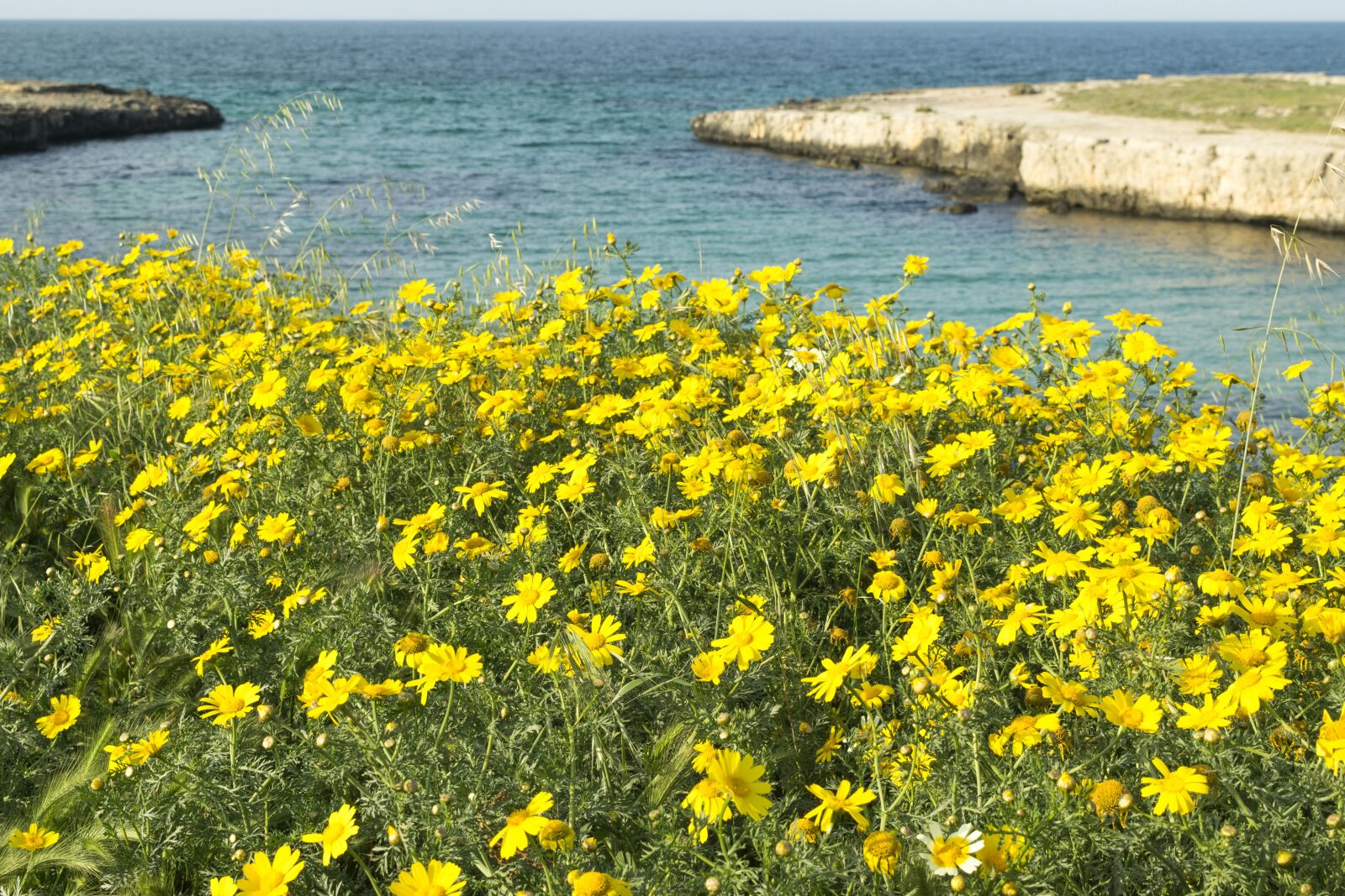 Nikon D5300 sample photo. Nature, summer, landscape photography