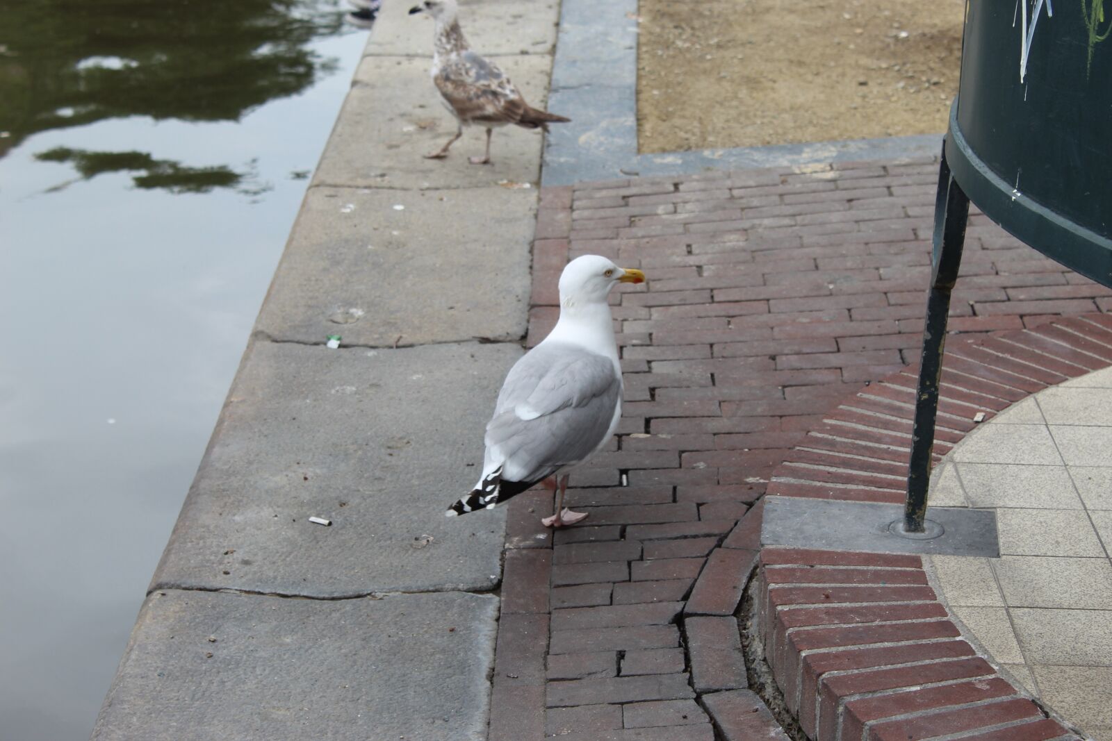 Canon EOS 4000D (EOS Rebel T100 / EOS 3000D) sample photo. Amsterdam, channel, netherlands photography
