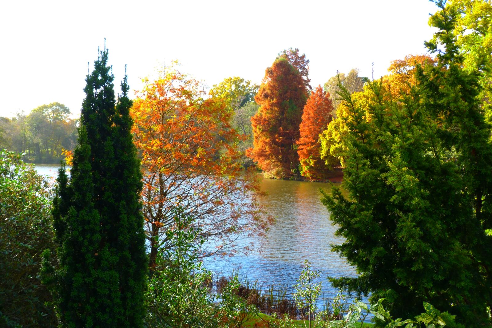 Panasonic Lumix DMC-FZ40 (Lumix DMC-FZ45) sample photo. Autumn, england, landscape photography