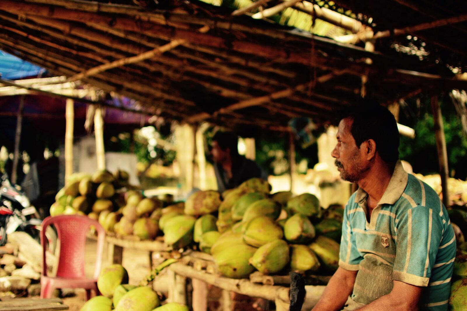 Nikon D3100 sample photo. Coconuts, lonely, street, street photography