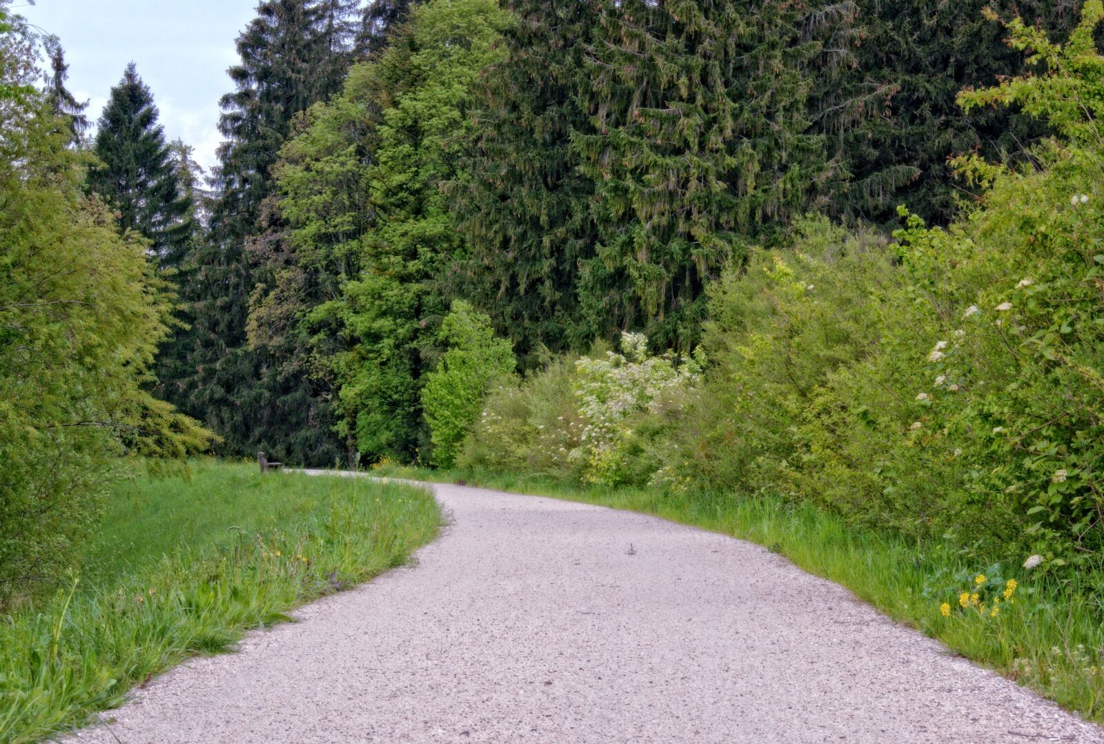 55.0-200.0mm f/4.0-f/5.6 sample photo. Spring, leisure, recovery photography