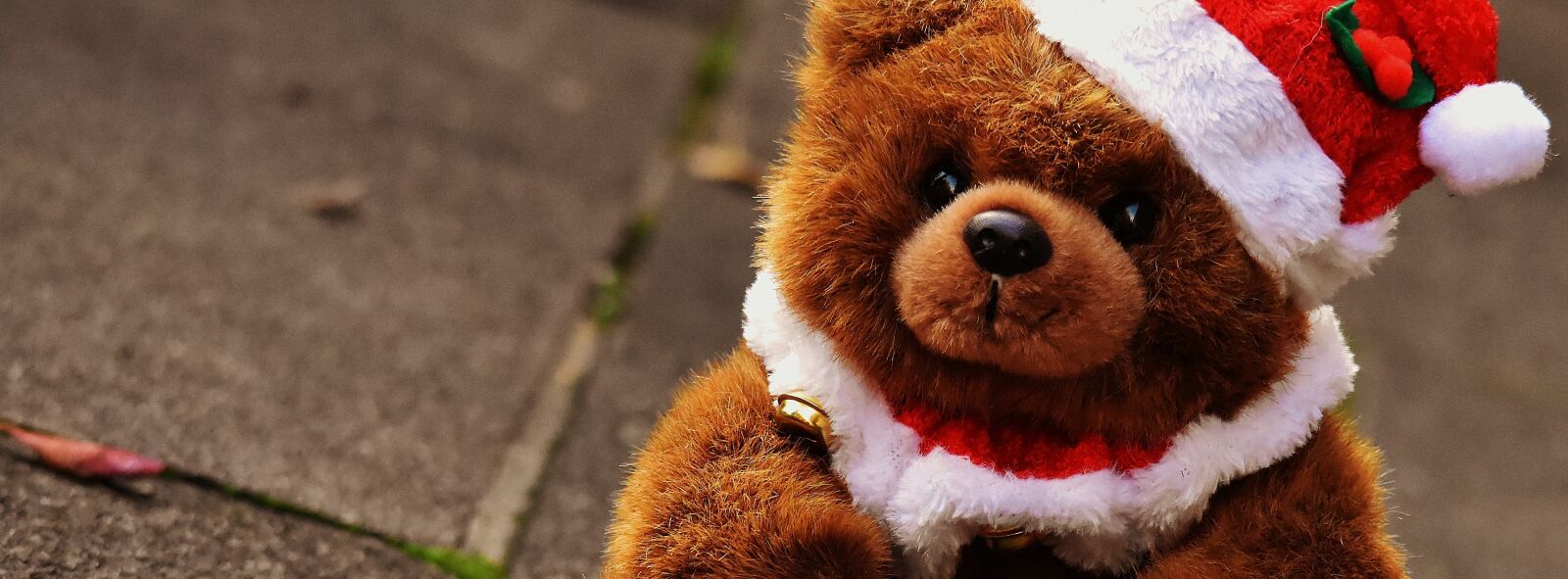 Nikon D7200 sample photo. Christmas, teddy, santa hat photography