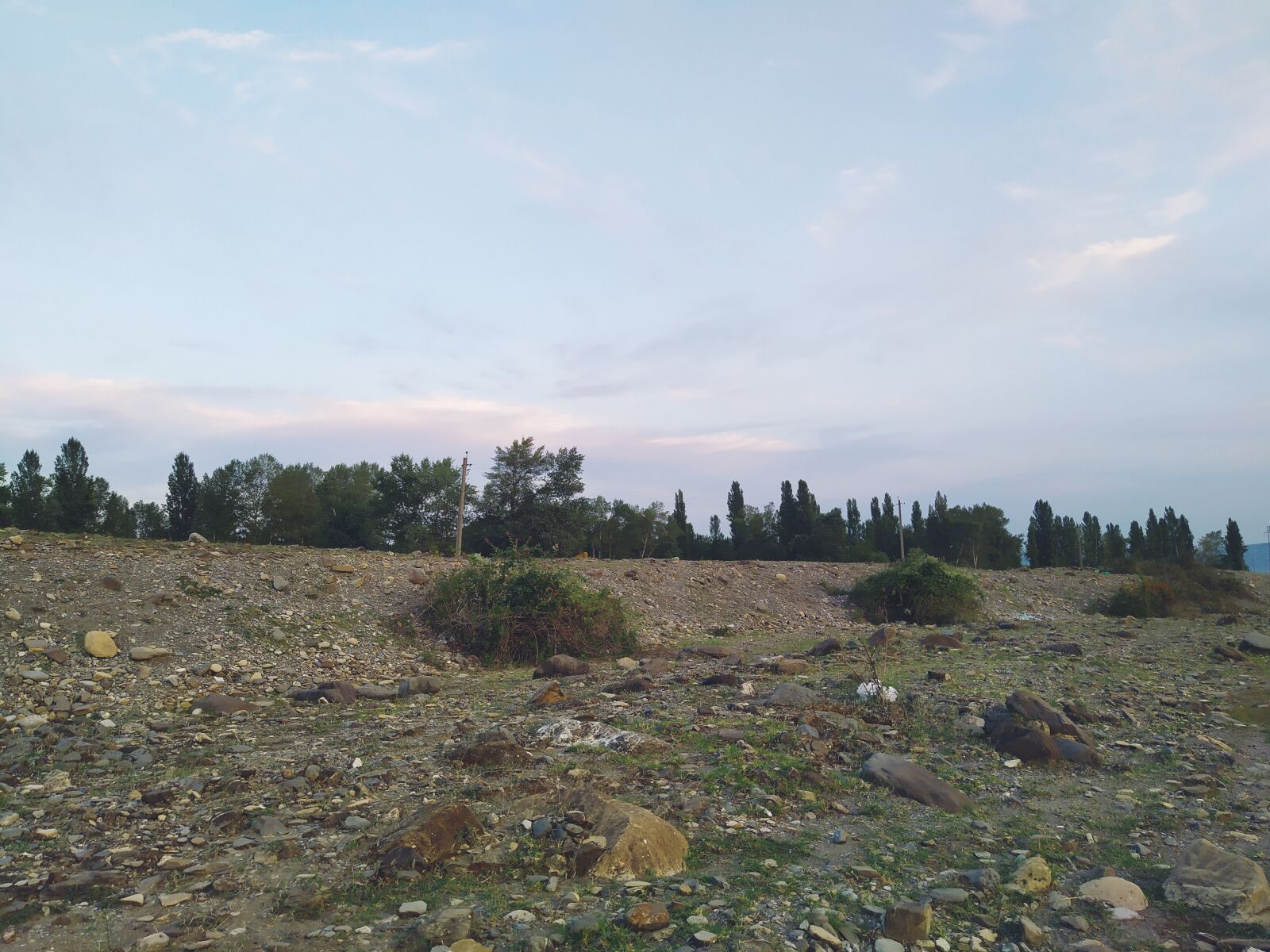 Xiaomi Redmi Note 7 sample photo. Trees, forest, reference photography
