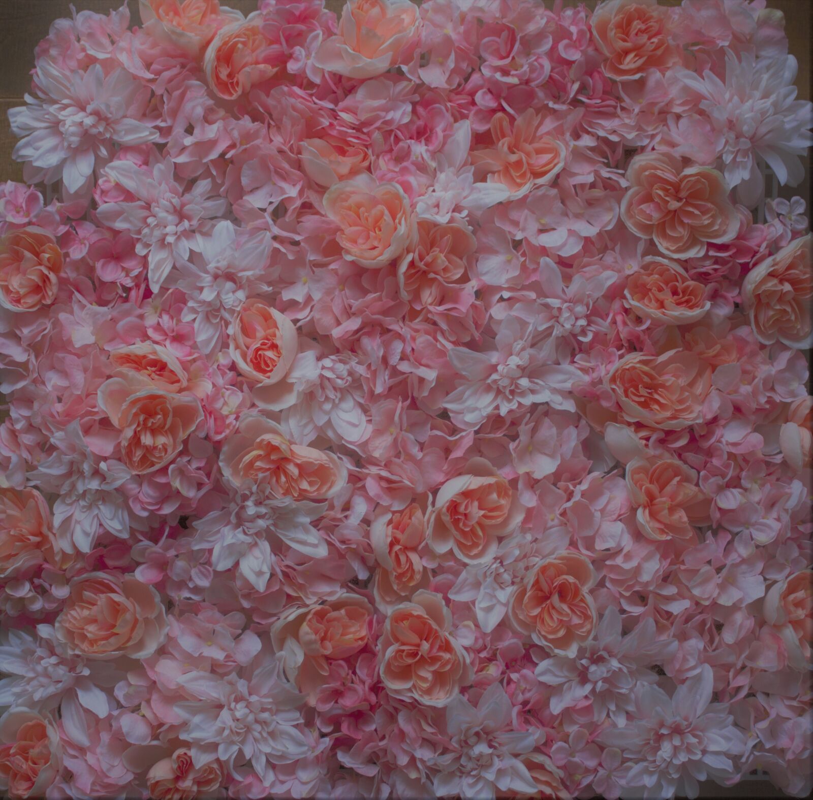 Canon EOS 550D (EOS Rebel T2i / EOS Kiss X4) sample photo. Texture, flower wall, floral photography