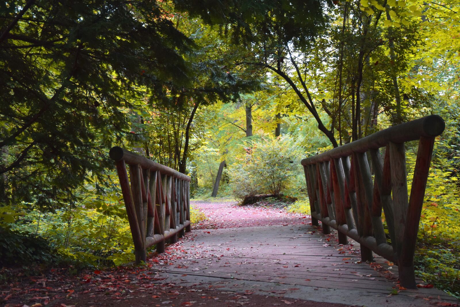 Nikon D3300 sample photo. Bridge, nature, fall photography