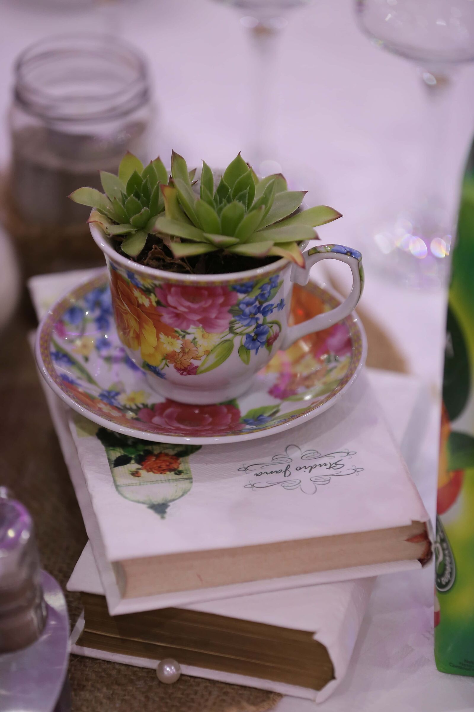 Canon EOS 6D sample photo. Flowerpot, coffee cup, cactus photography