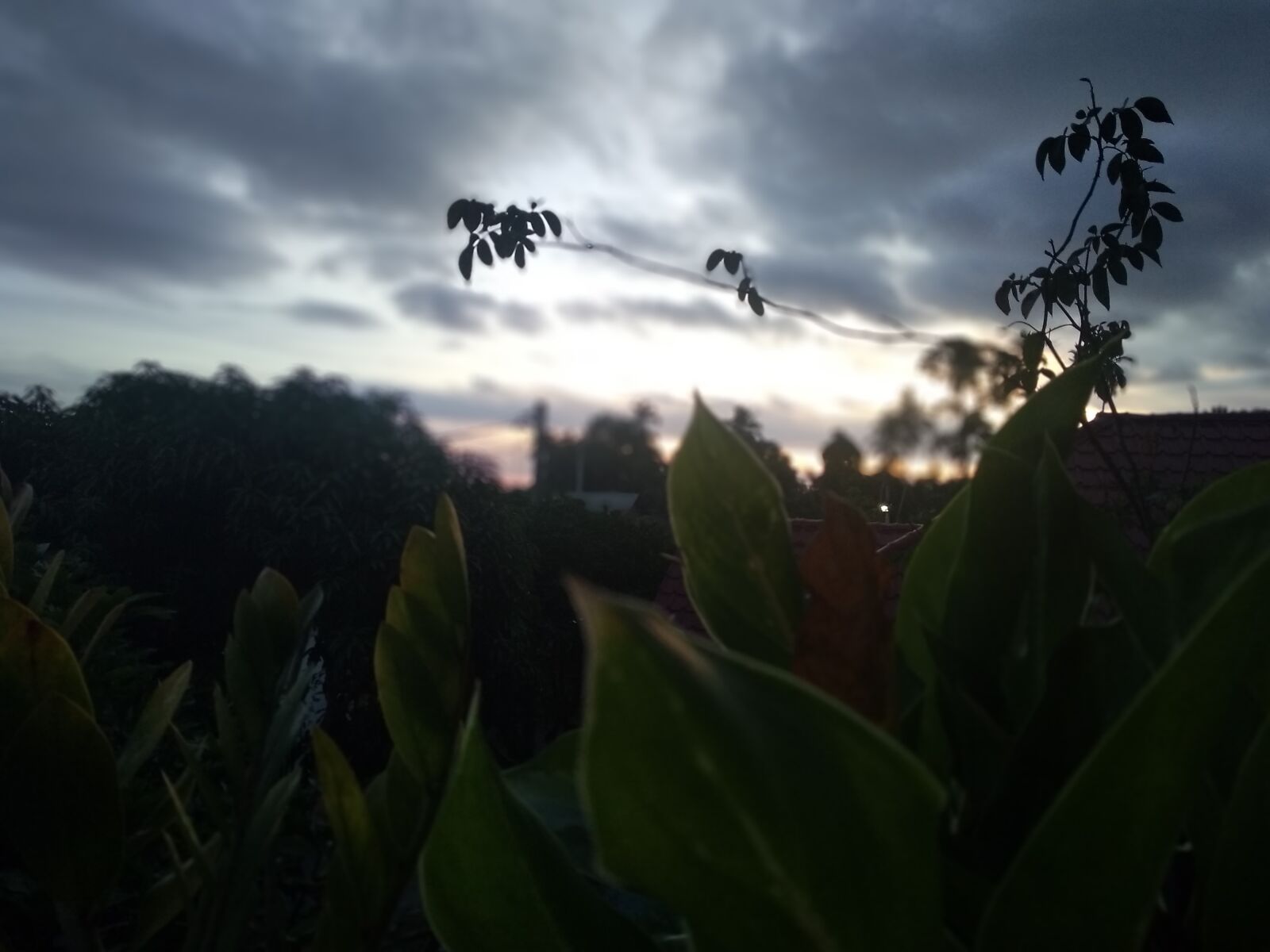 Xiaomi Redmi S2 sample photo. Nature, sky, evening photography