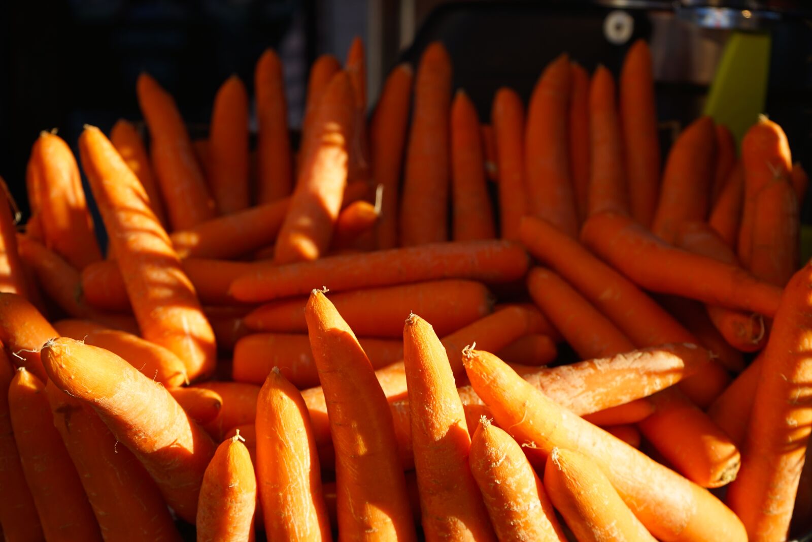 Sony a7 II + Sony FE 28-70mm F3.5-5.6 OSS sample photo. Carrot, vegetables, healthy photography
