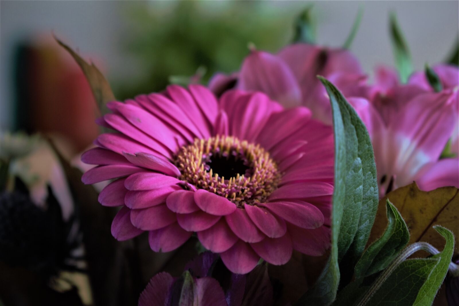 Canon EOS 100D (EOS Rebel SL1 / EOS Kiss X7) sample photo. Bouquet, pink, blossom photography