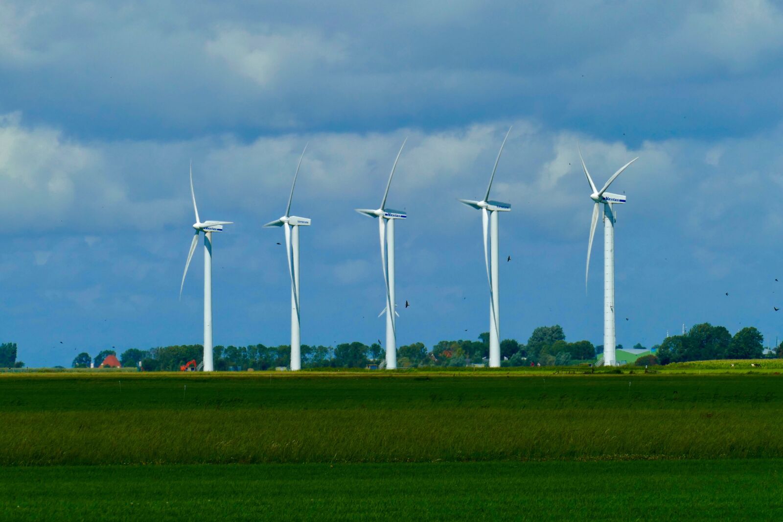 Panasonic Lumix DMC-FZ1000 sample photo. Mills, windmills, friesland photography