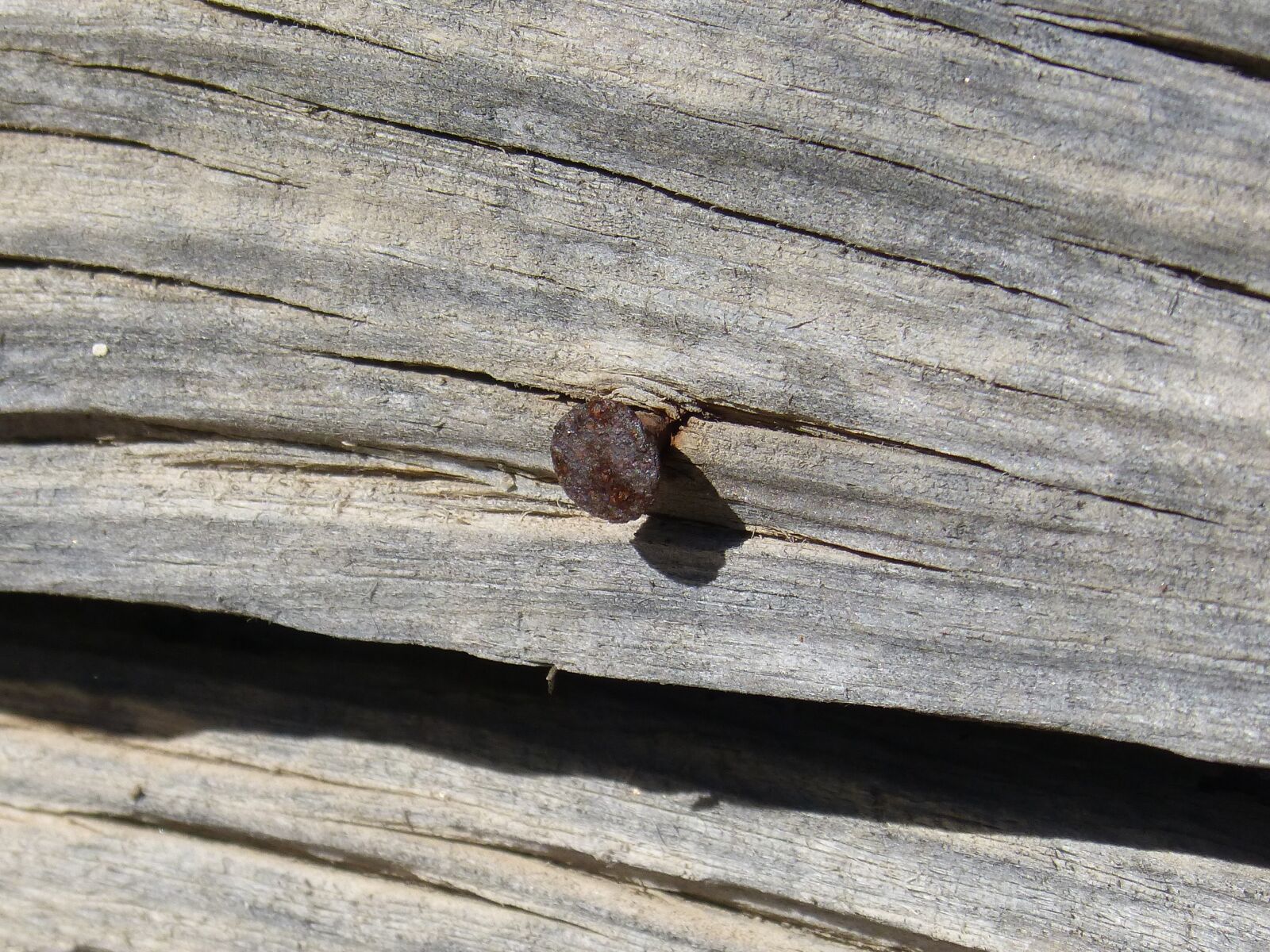 Panasonic DMC-FZ62 sample photo. Nail, old wood, rusty photography