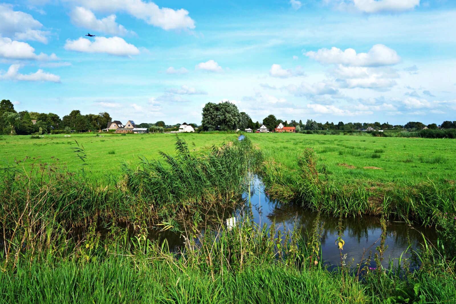 Sony Cyber-shot DSC-RX100 sample photo. Dutch landscape, landscape, polder photography