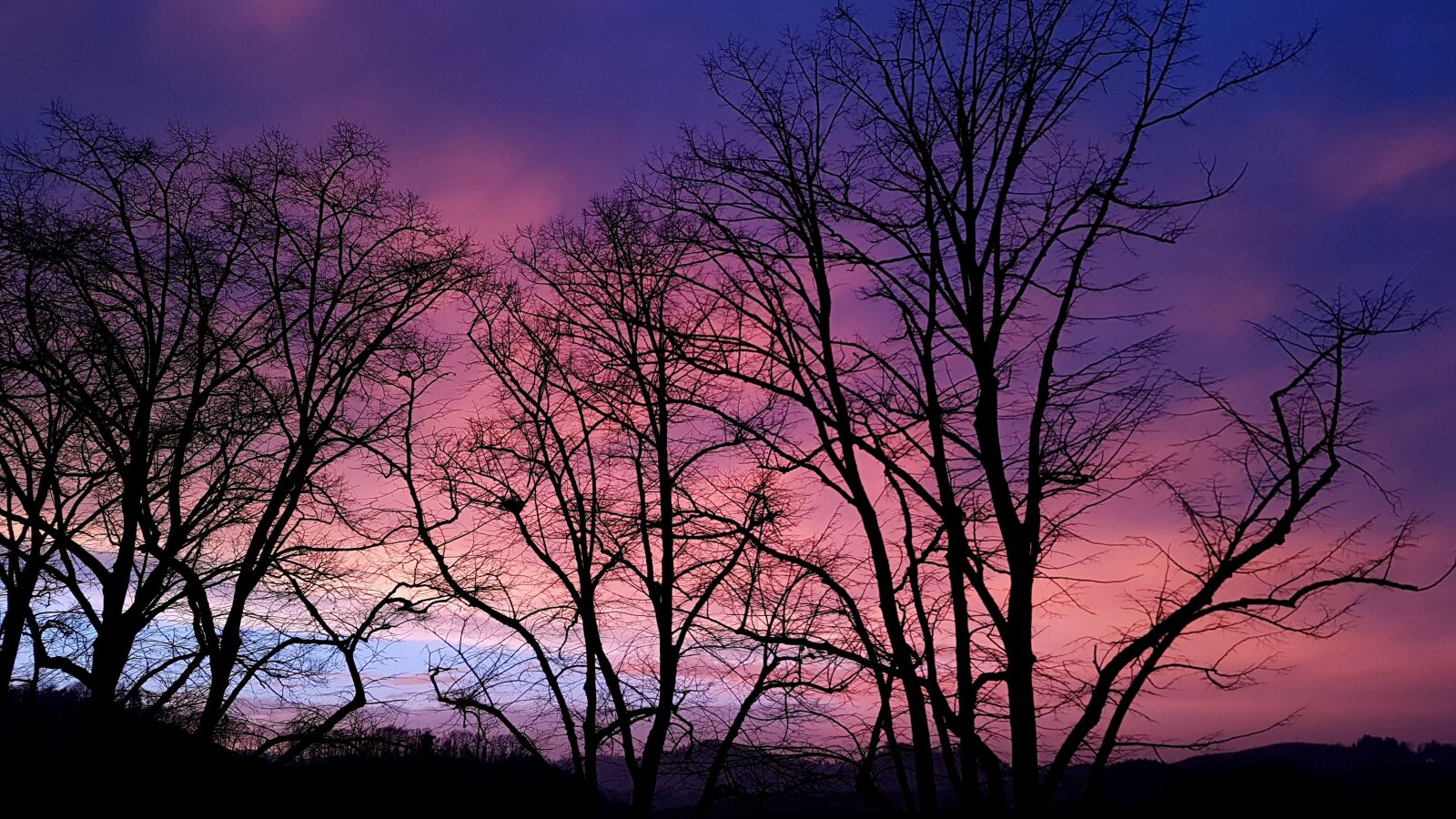 Samsung Galaxy S7 sample photo. Tree, nature, dawn photography