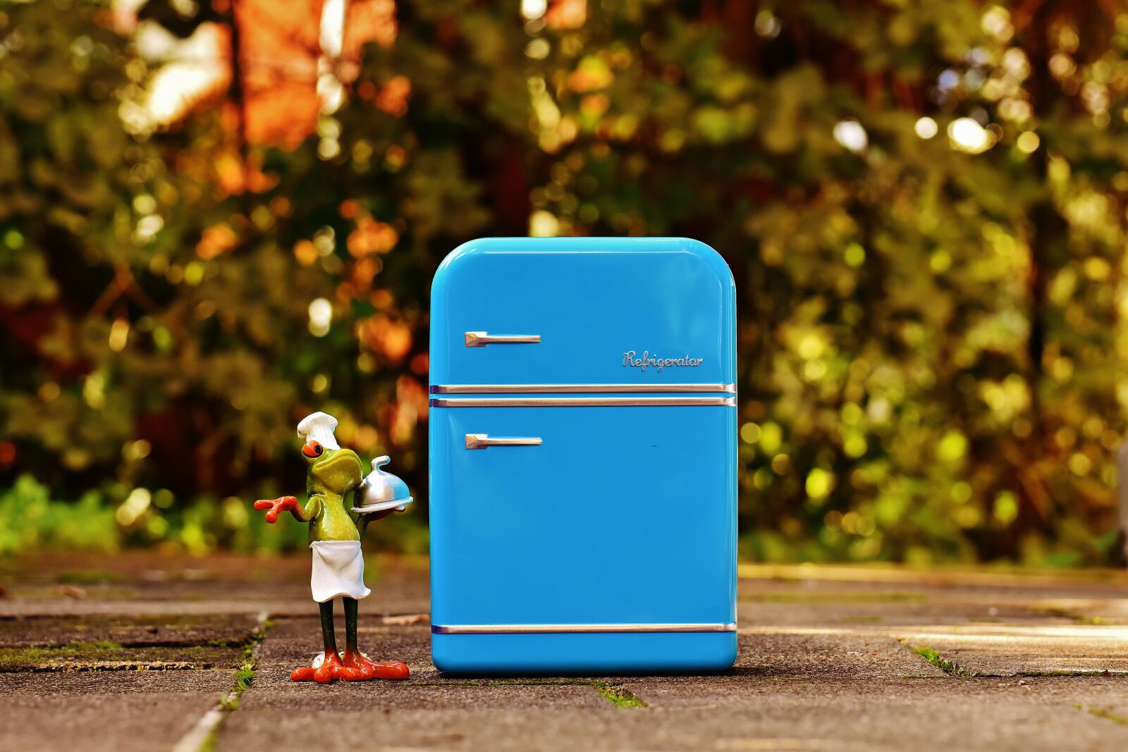 Nikon D7200 sample photo. Frog, cooking, refrigerator photography