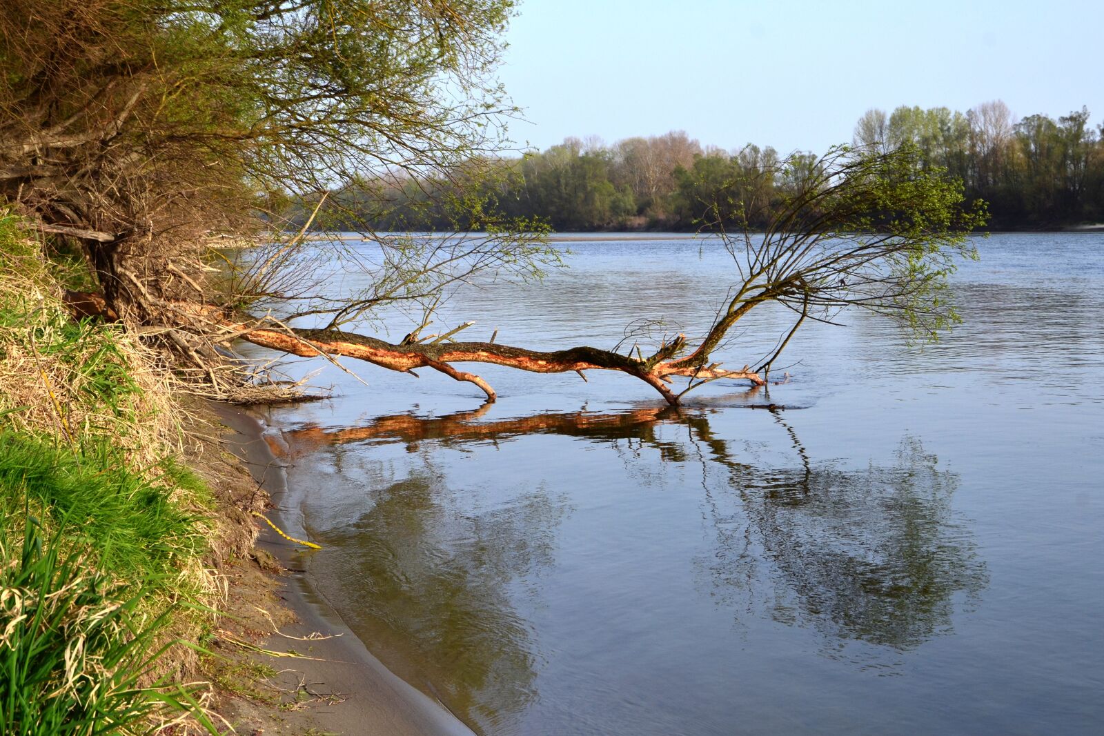 Nikon D3100 sample photo. Hungary, croatia, baranya photography