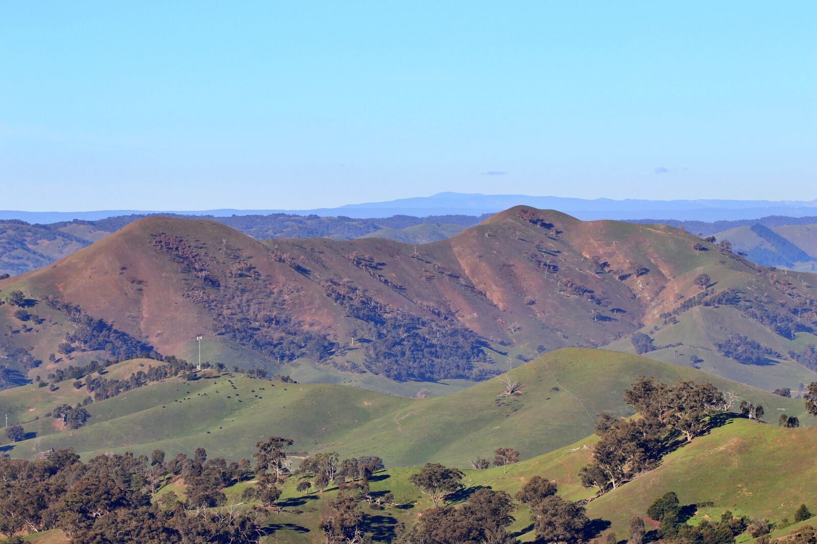 Canon EF 100mm F2.8L Macro IS USM sample photo. Australia, landscape, scenic photography