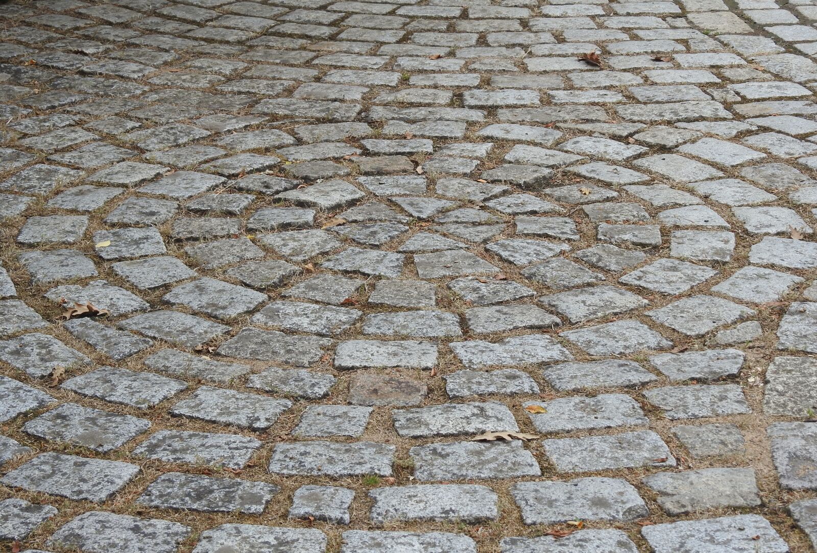 Nikon Coolpix P900 sample photo. Pavers, road, roadway photography