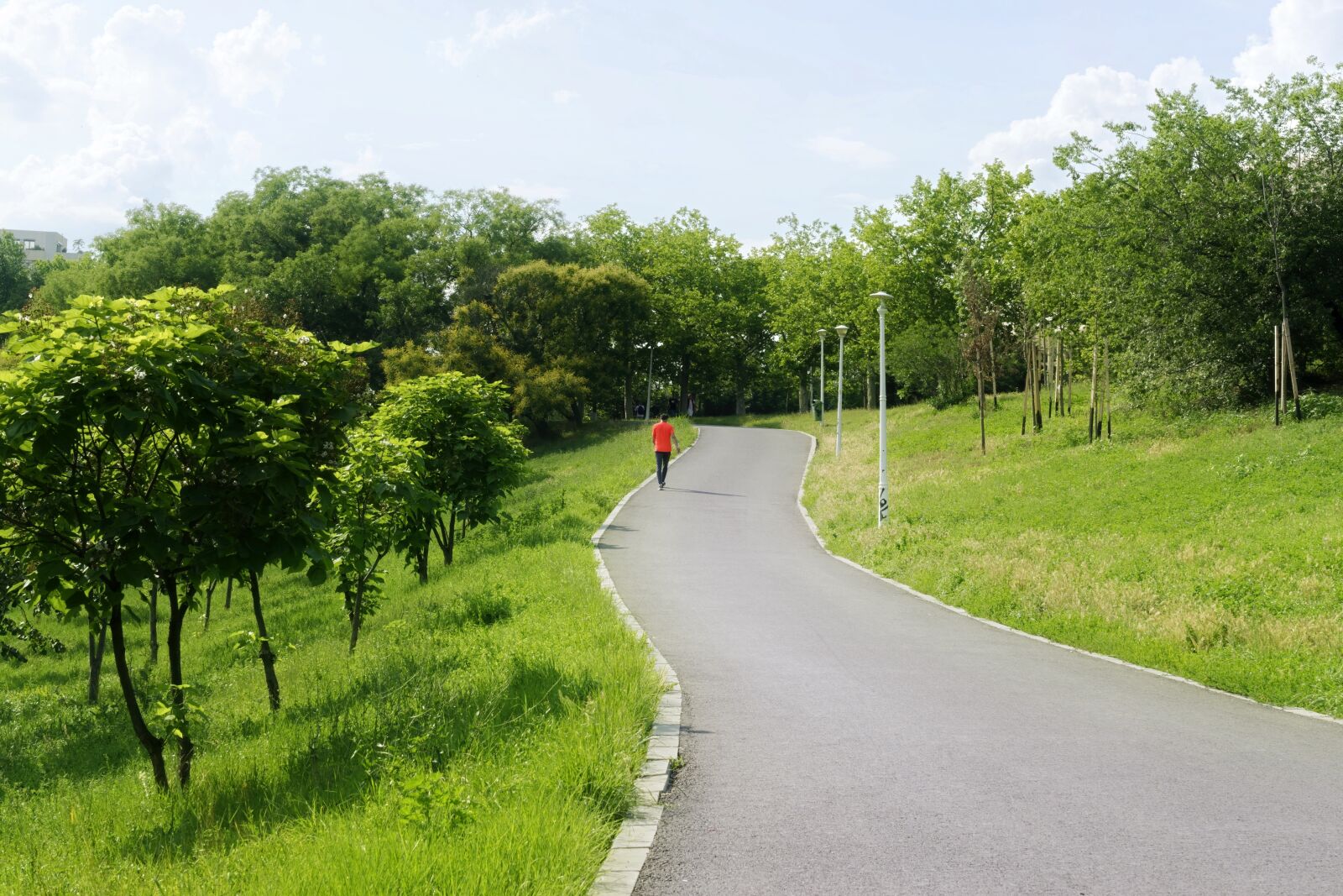 Nikon D5300 sample photo. Landscape, nature, park photography