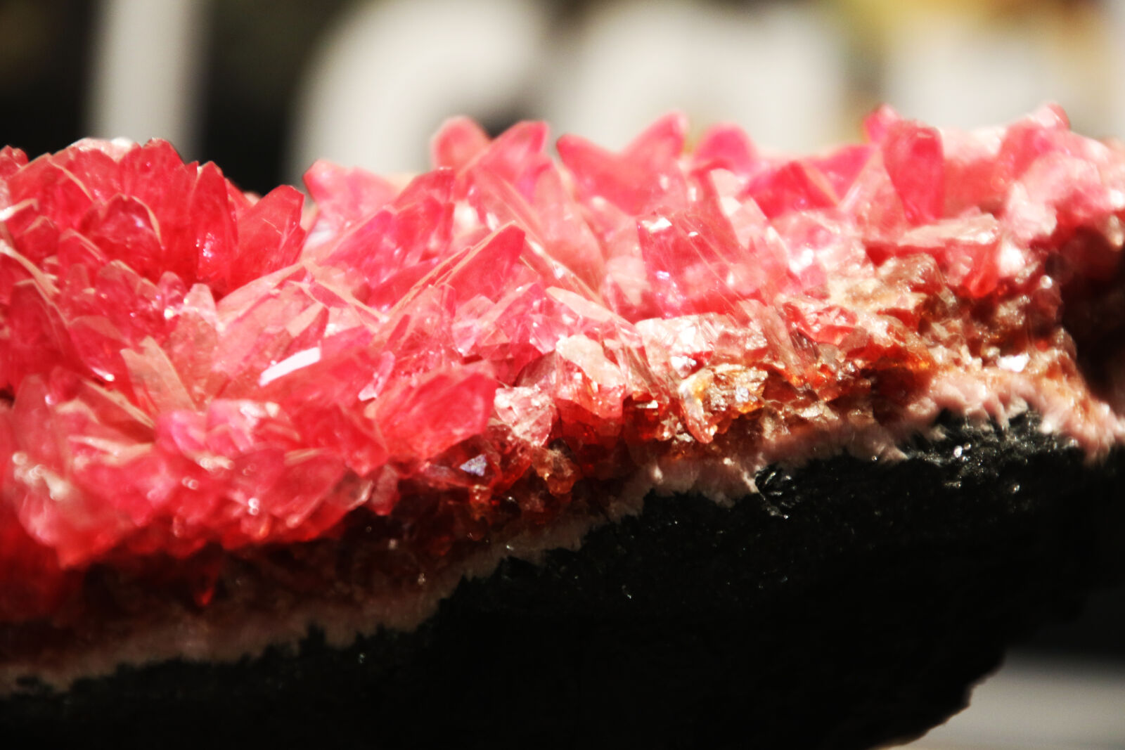 Canon EOS 7D Mark II sample photo. Background, colorful, earth, jewellery photography