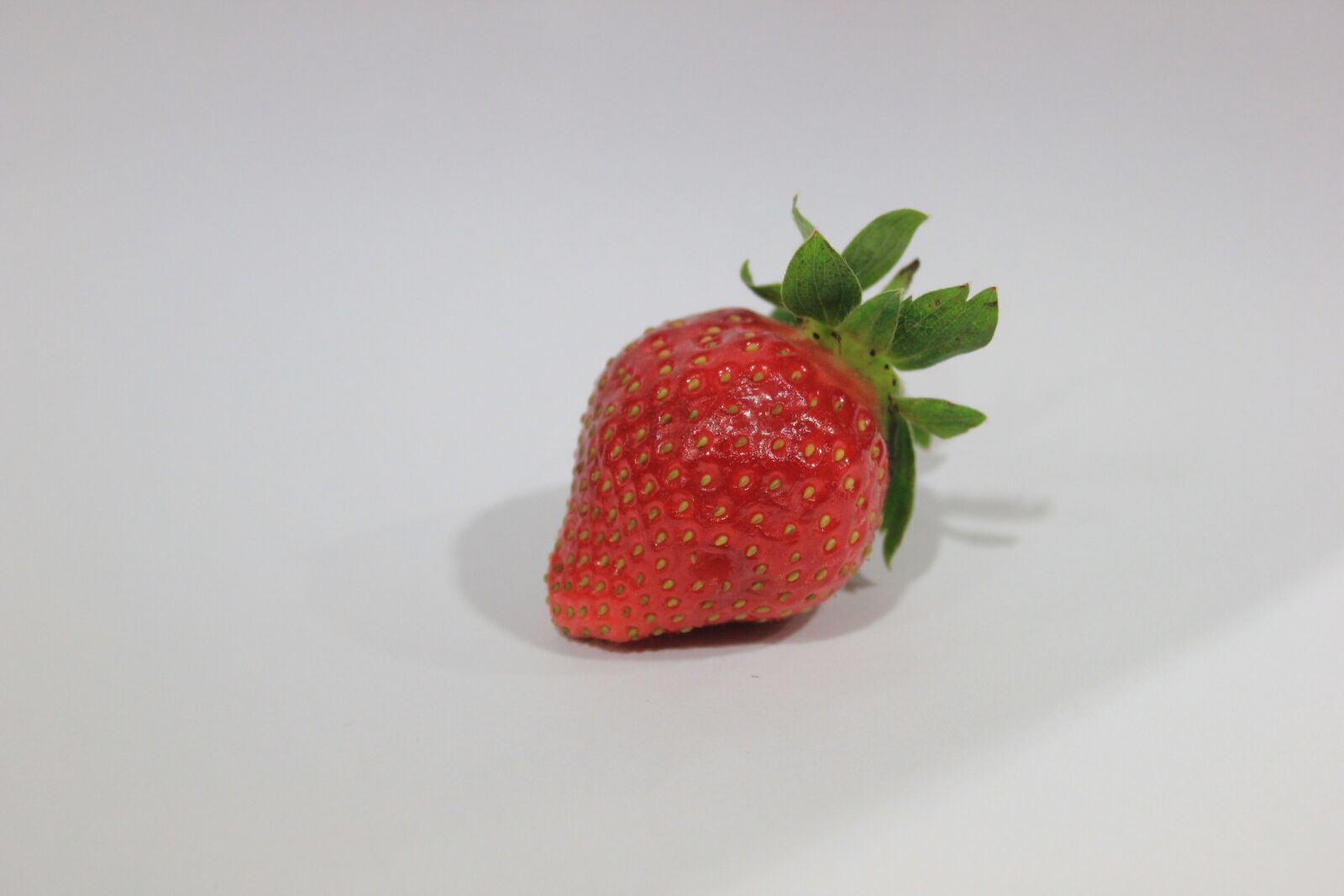 Canon EOS 550D (EOS Rebel T2i / EOS Kiss X4) sample photo. Strawberry, red, fruit photography
