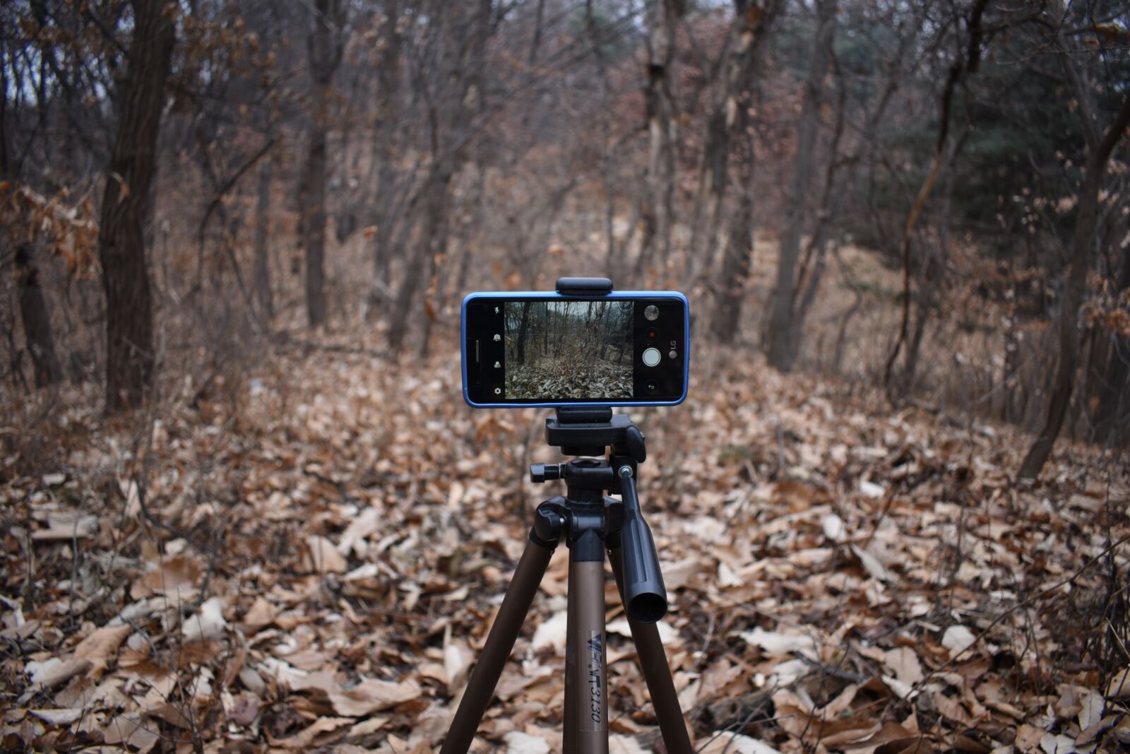 Nikon D750 sample photo. Smartphones, camera, photo photography
