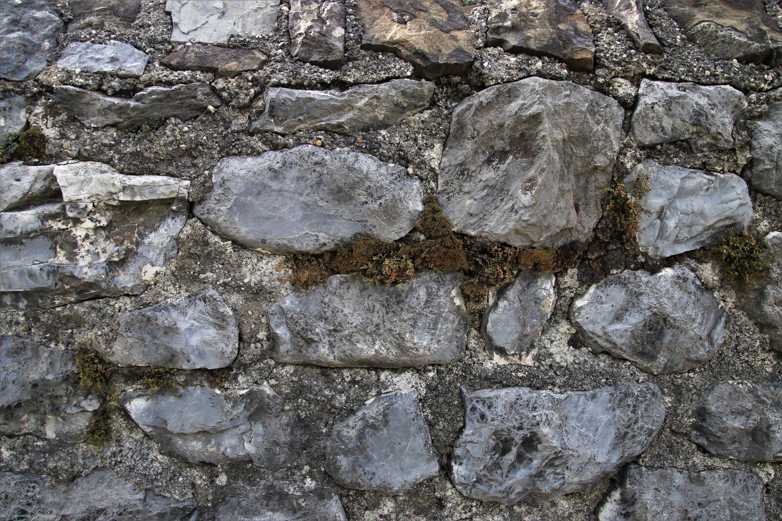 Canon EOS 80D sample photo. Lake dusia, stone, old photography
