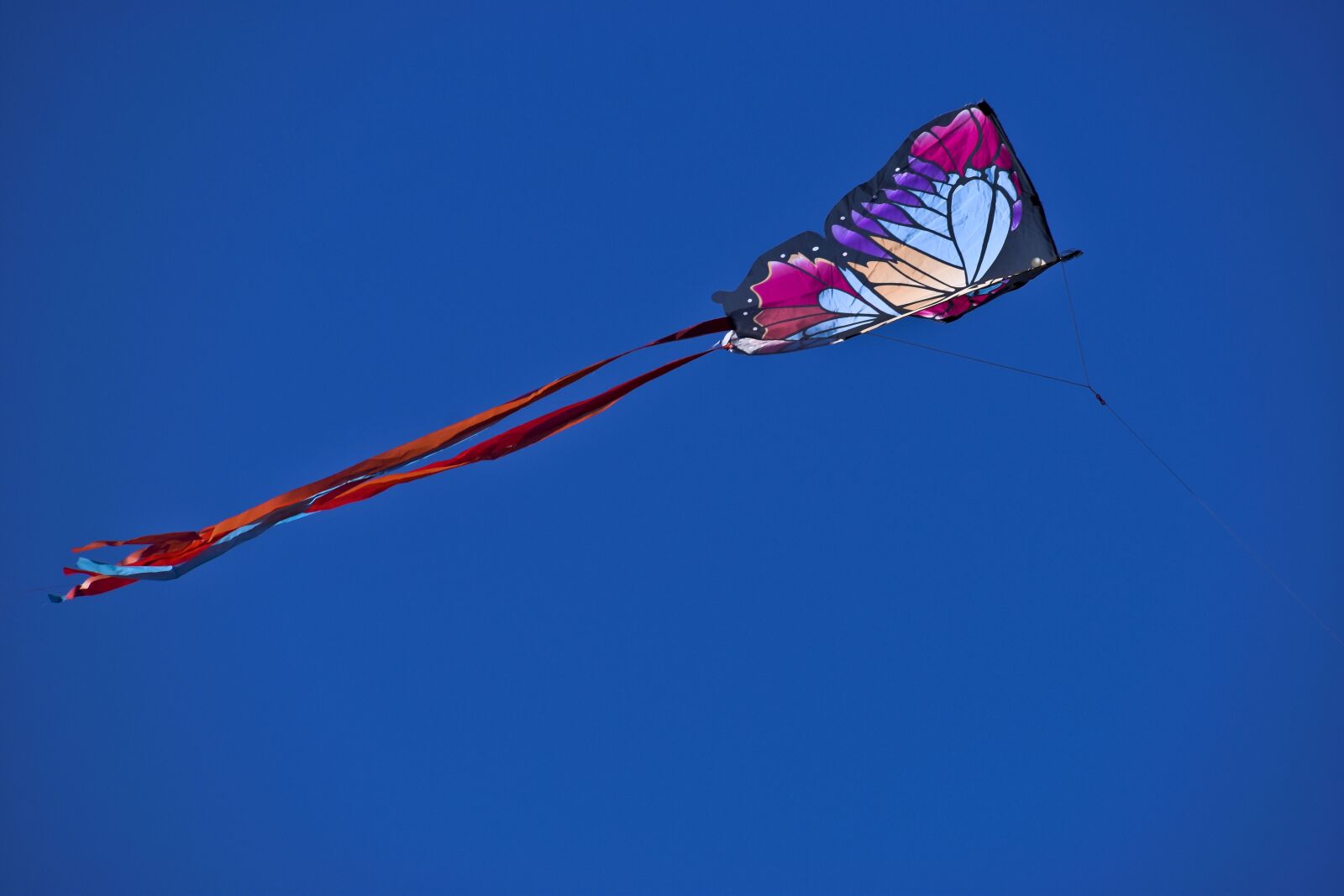 Nikon D3500 sample photo. Kite, flying, colorful photography