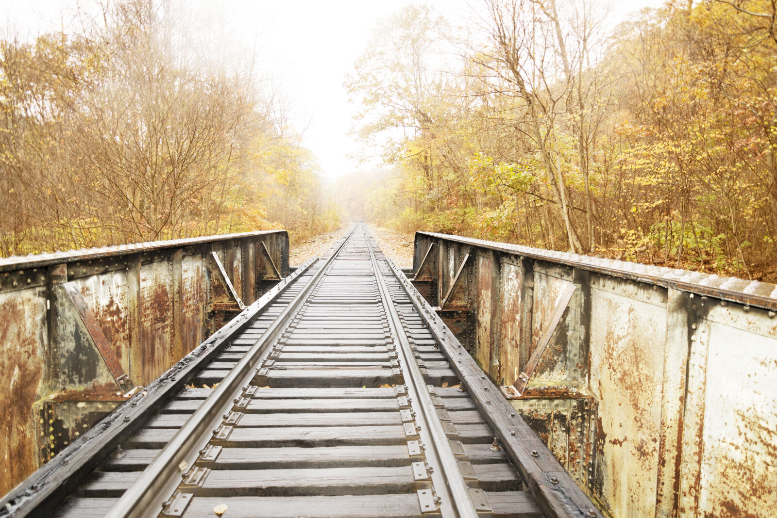 Nikon D600 sample photo. Autumn, colours, autumn, mood photography