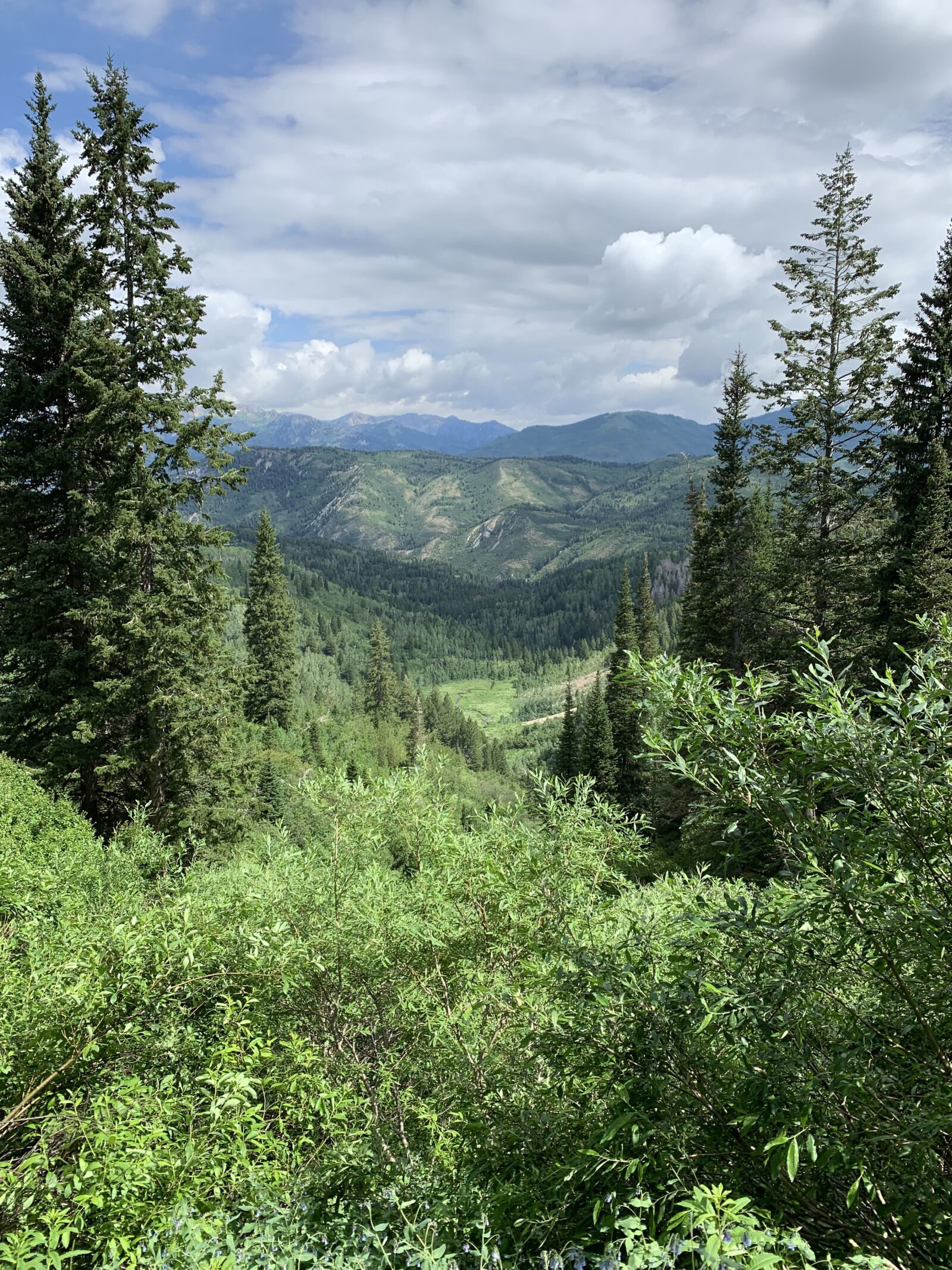 Apple iPhone XR sample photo. Utah, hiking, american fork photography